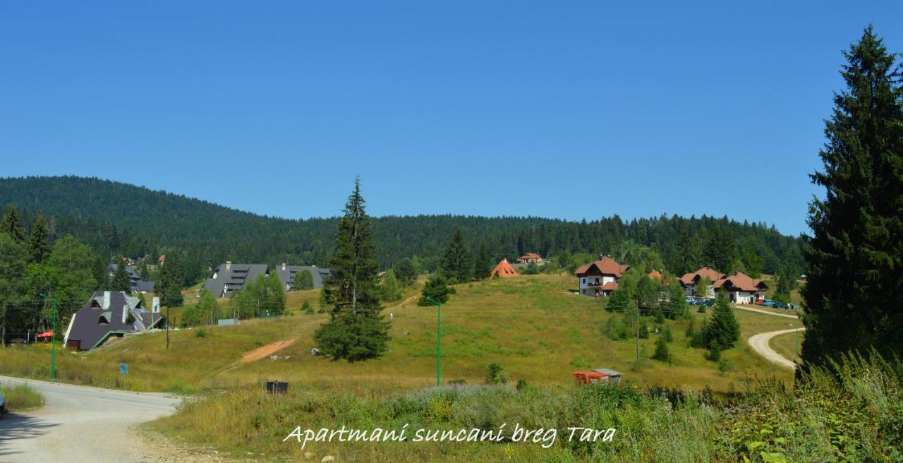 Apartmani Suncani Breg Tara Mitrovac Exterior photo