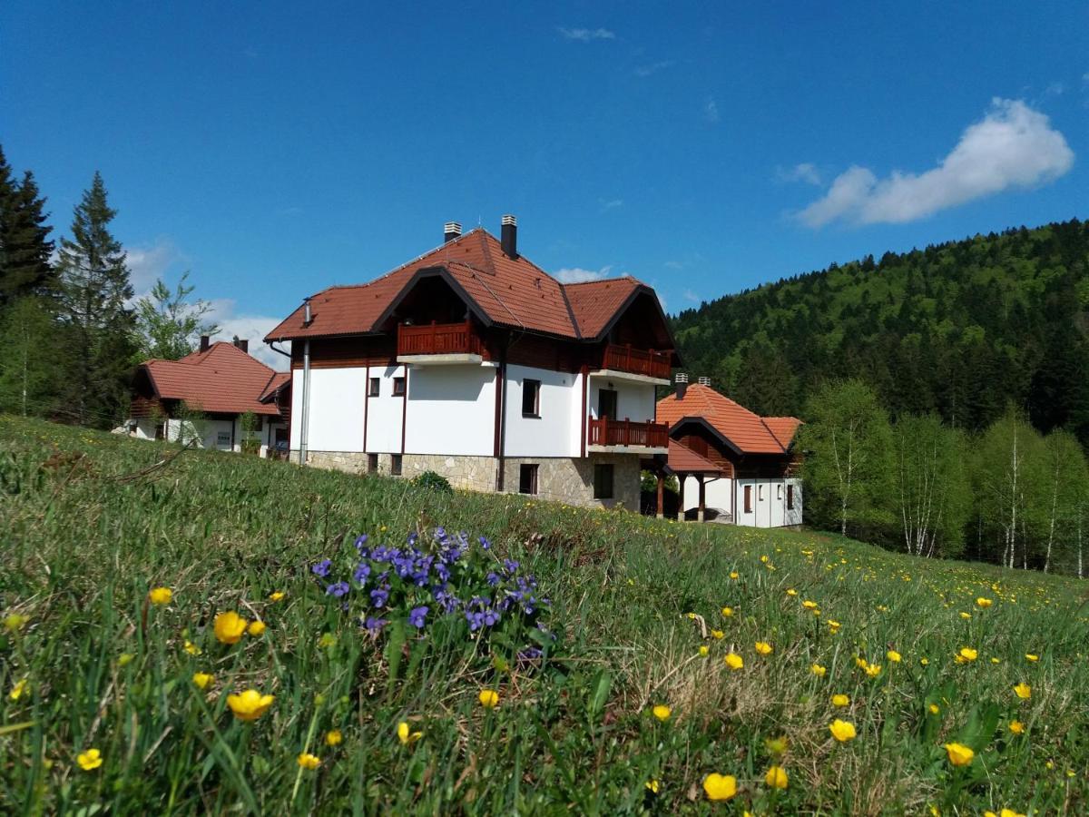 Apartmani Suncani Breg Tara Mitrovac Exterior photo